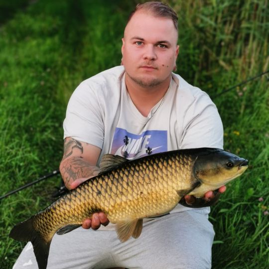 Graskarpfen