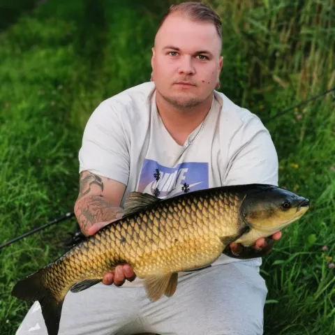 Graskarpfen