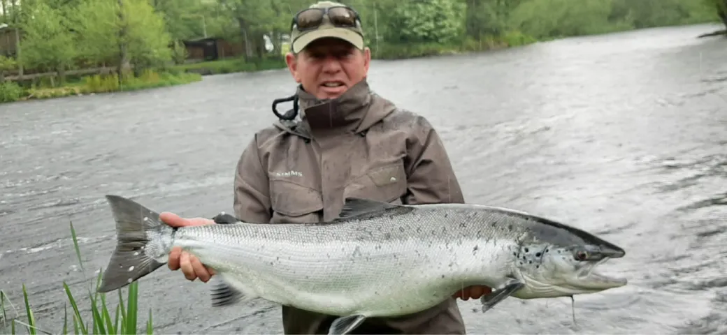 Lachs