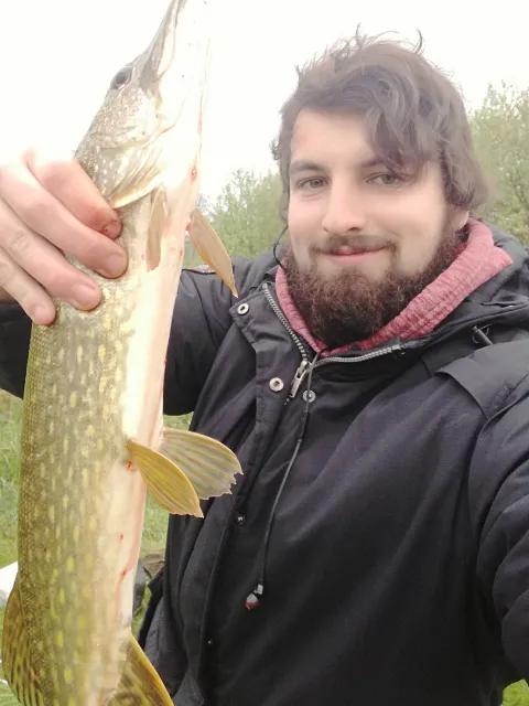 Hecht