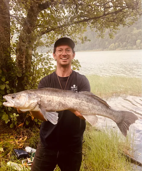 Zander