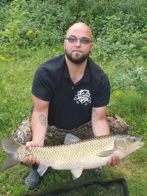 Graskarpfen