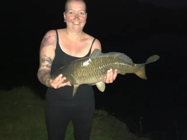 Karpfen