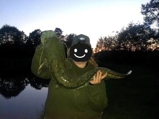 Wels
