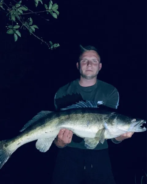 Zander