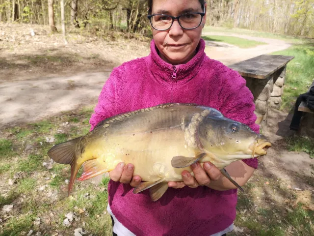 Karpfen