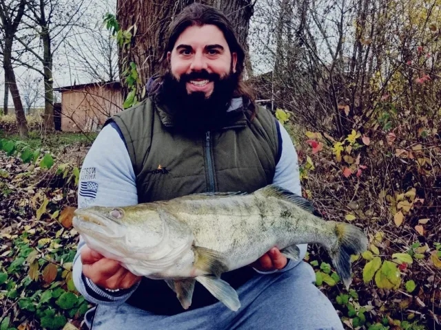 Zander