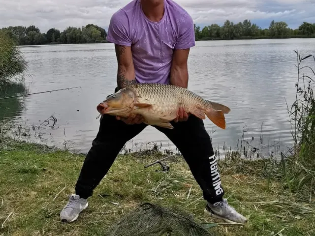 Karpfen