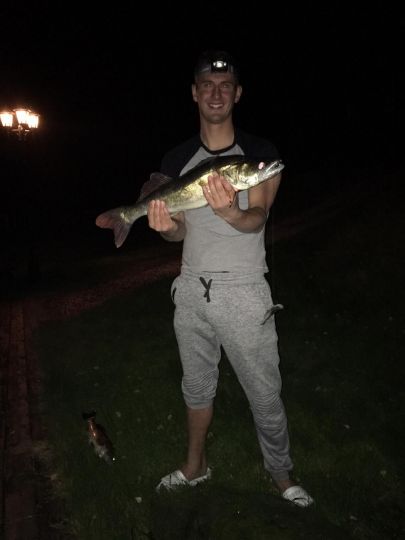 Zander