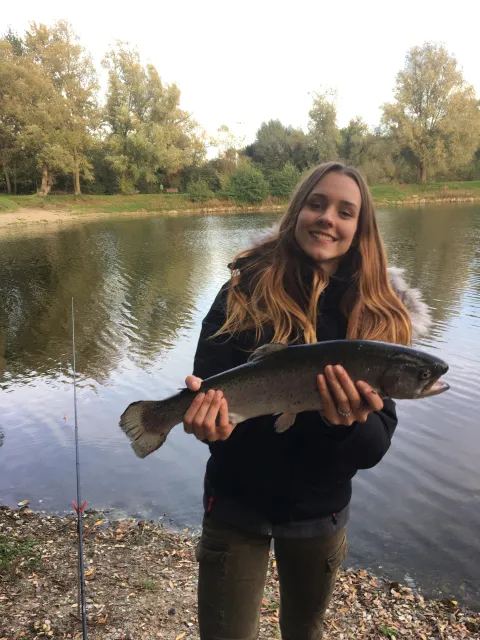 Regenbogenforelle