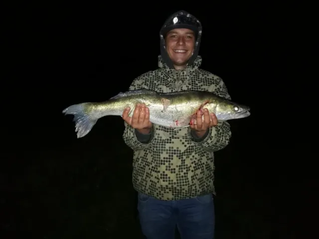 Zander