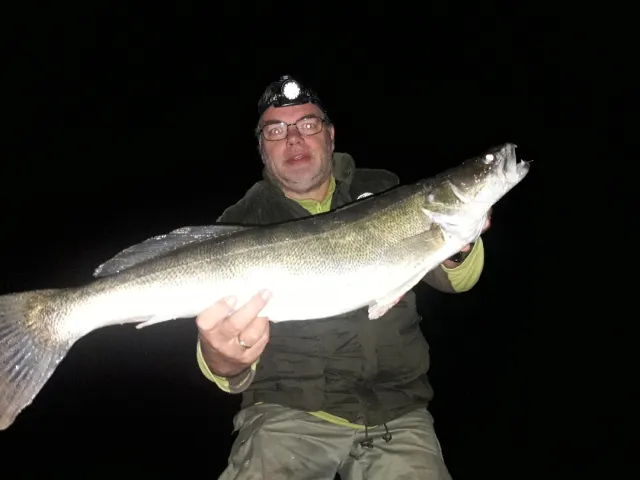 Zander