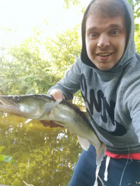 Zander