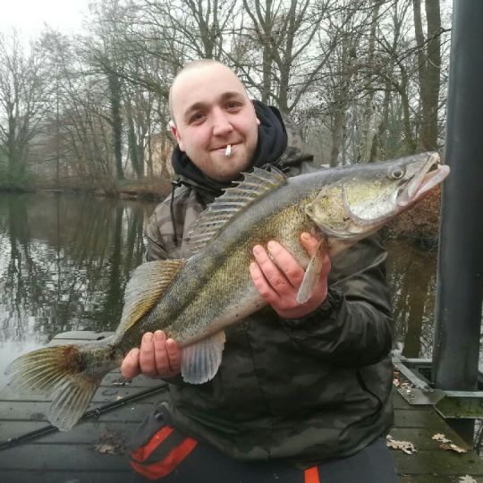 Zander