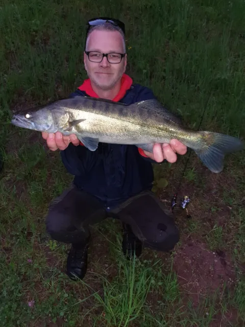 Zander