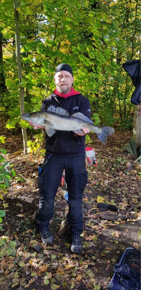 Zander