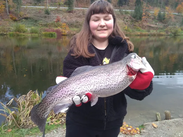 Regenbogenforelle