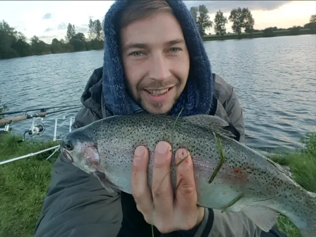 Regenbogenforelle