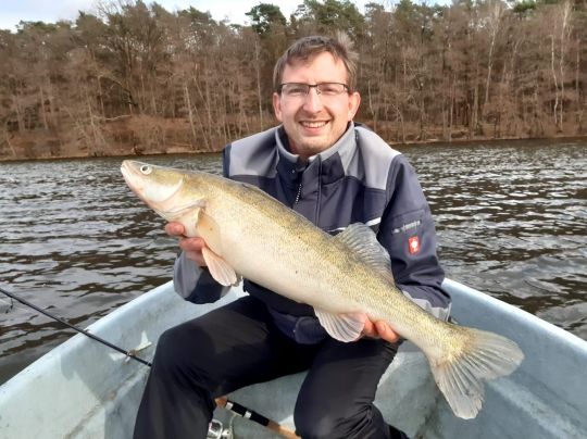 Zander