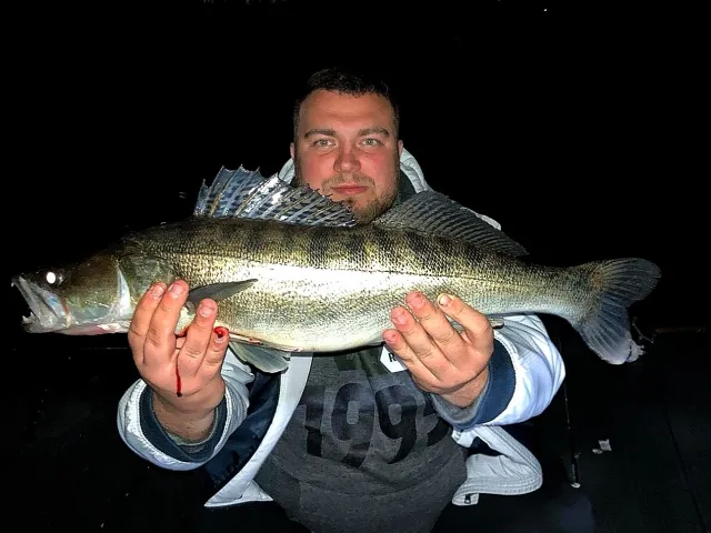 Zander