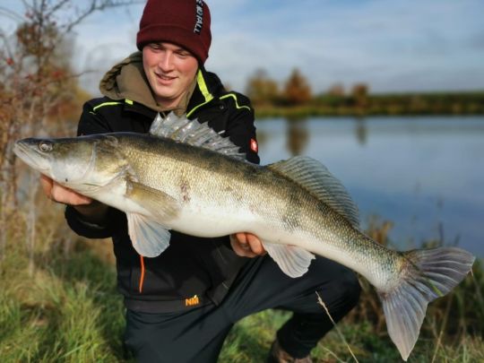 Zander
