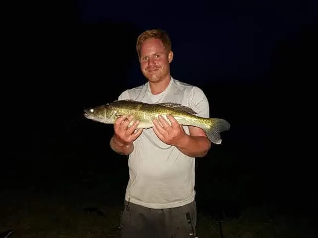 Zander