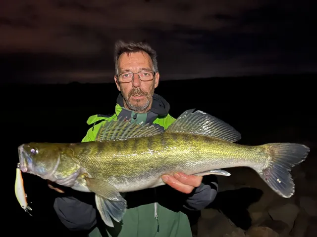 Zander