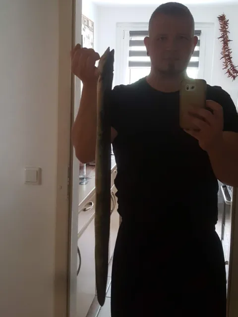 Aal