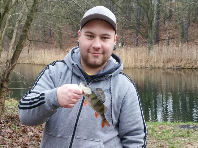 Flussbarsch