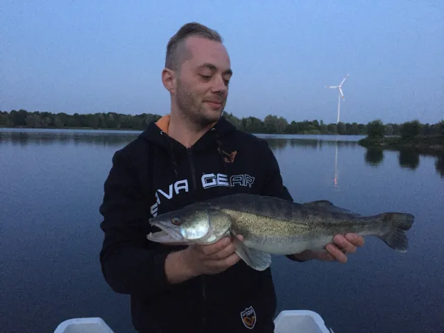 Zander