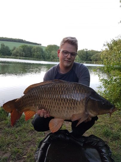 Karpfen