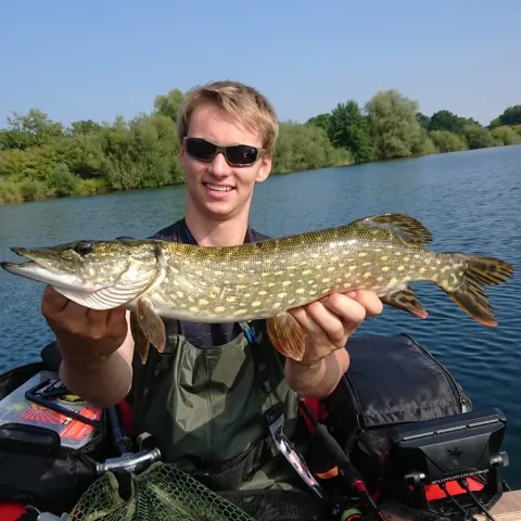 Hecht