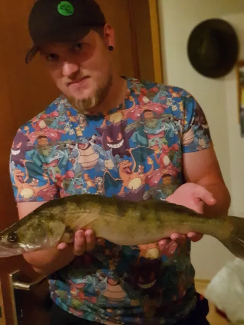 Zander