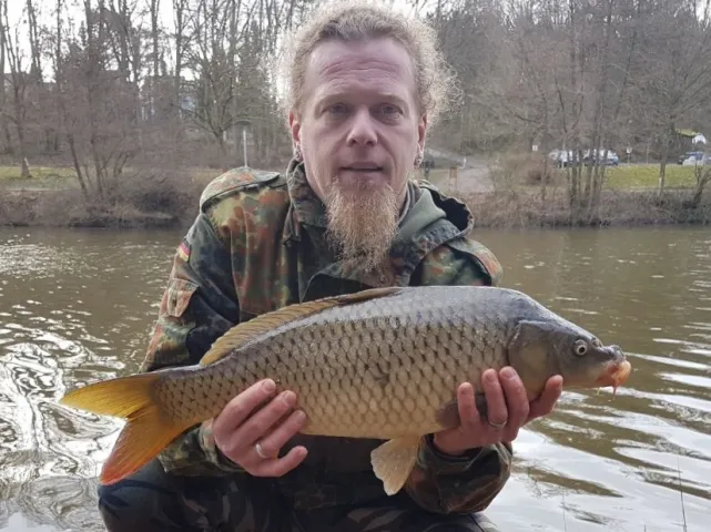Karpfen