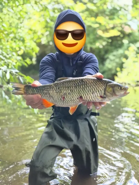 Döbel