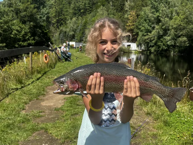 Regenbogenforelle