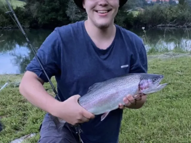 Regenbogenforelle