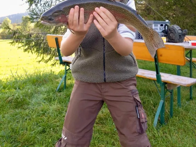 Regenbogenforelle