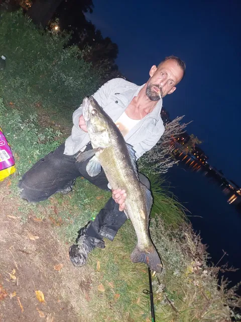 Zander