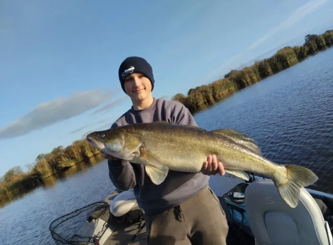 Zander