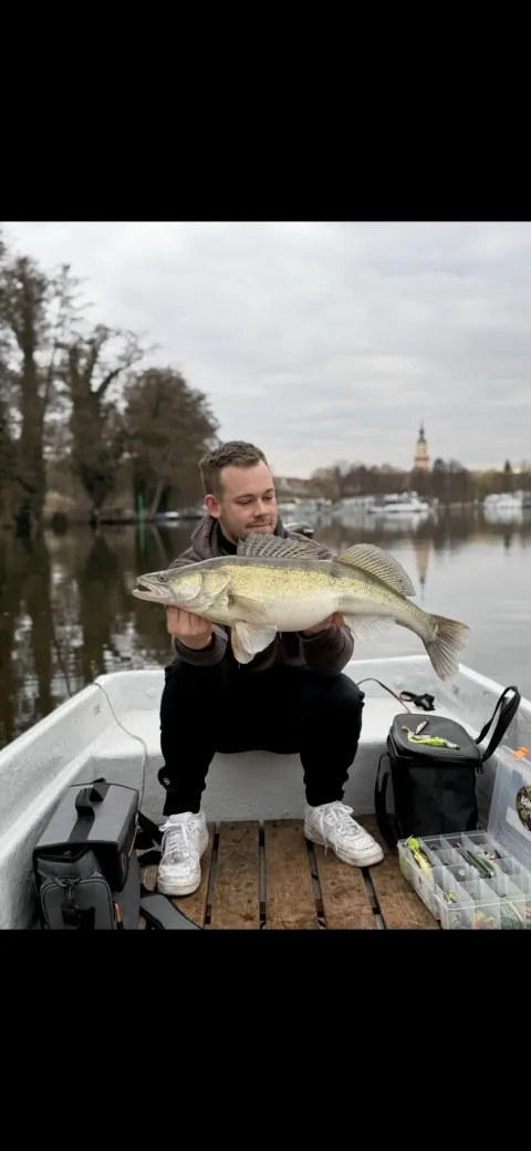 Zander