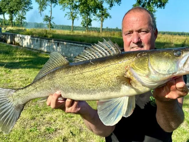 Zander