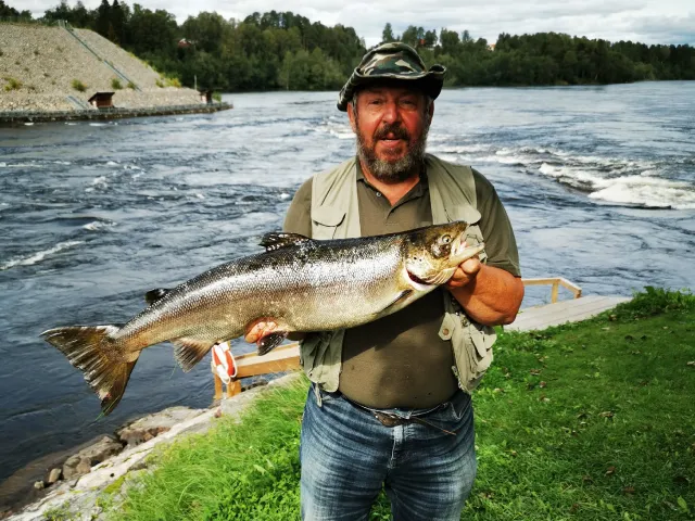 Lachs