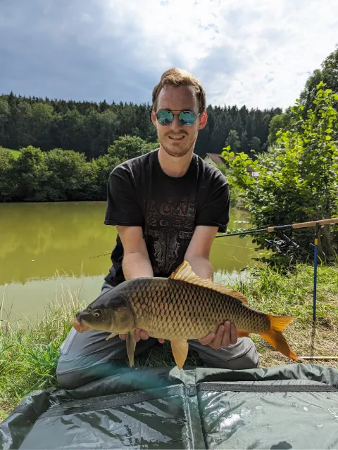 Karpfen