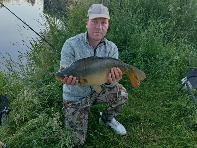 Graskarpfen