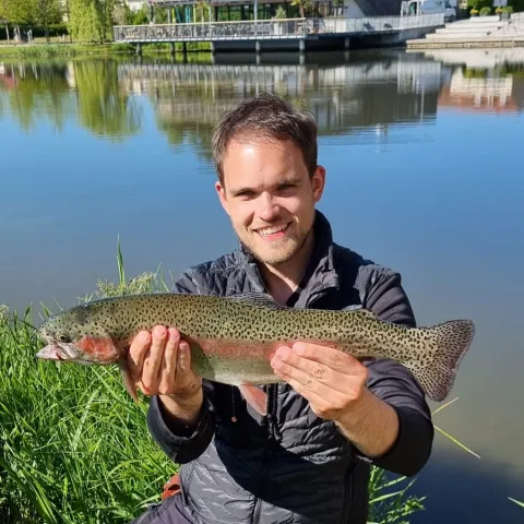 Regenbogenforelle