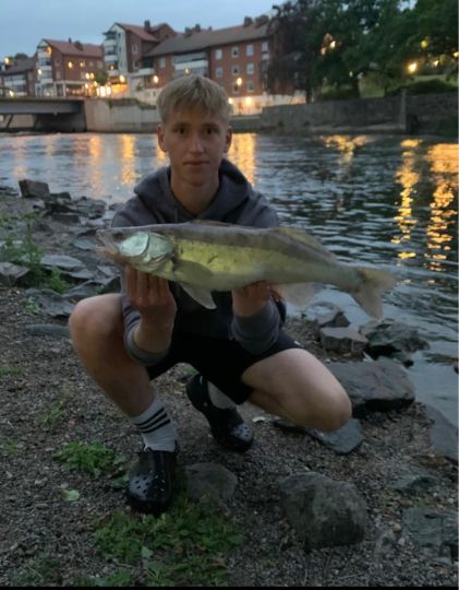 Zander