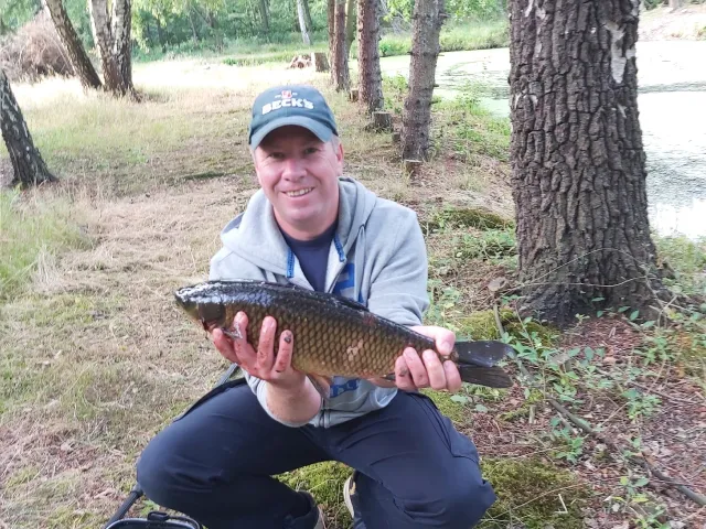 Graskarpfen