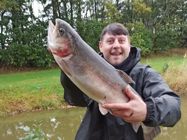 Regenbogenforelle