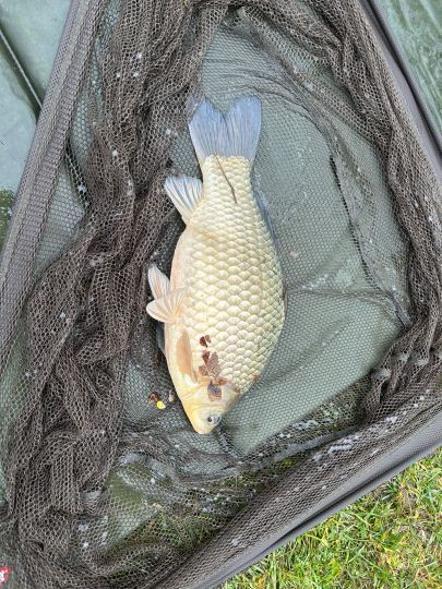 Röcksee (Mureck) ALLE ANGELN
